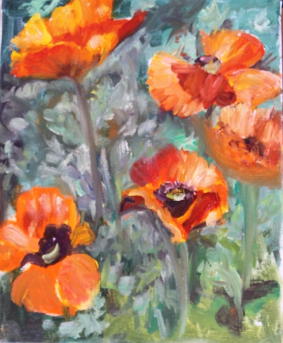 Red Poppies