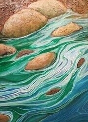 Rocks and Ripples